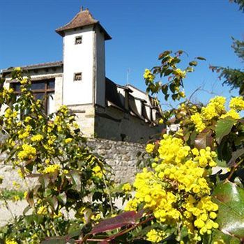 Domaine De Borie Chambres D'Hotes Bretenoux Extérieur photo